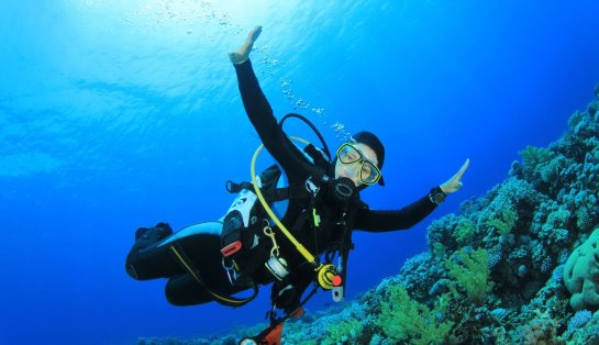 Scuba Diver in the Adriatic sea